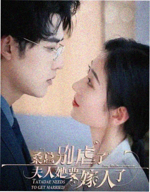 策驰影视热门电视剧推荐封面